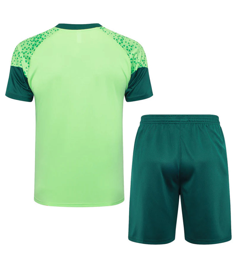 Palmeiras Training Kit 24/25