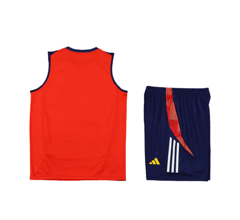 Spain Training Kit 24/25