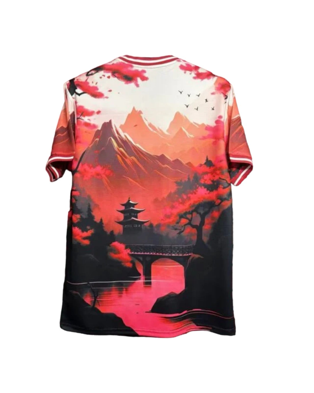Japón - Edición especial 24/25