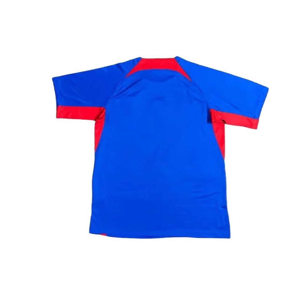 Slovakia Home 24/25
