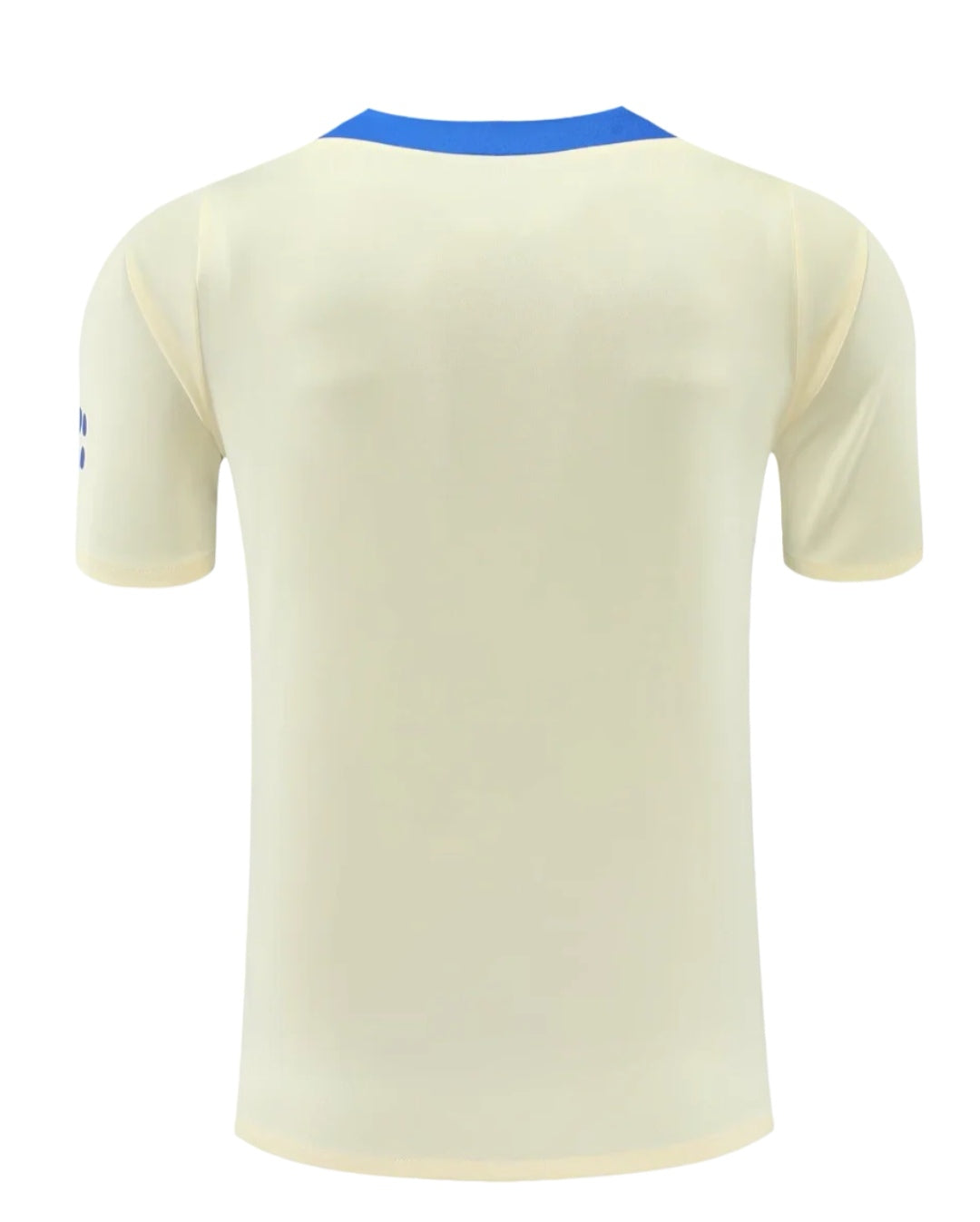 Inter - Maglia Allenamento 24/25