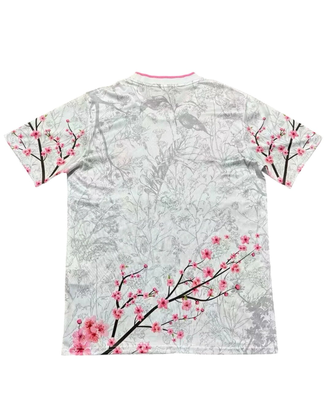 Japan - Special edition 24/25