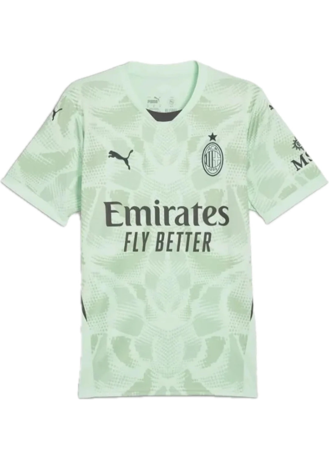 Milan goalkeeper 24/25