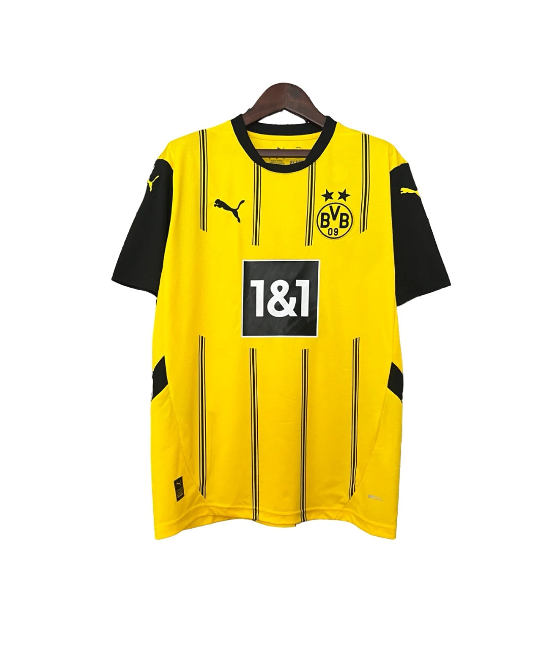 Borussia Dortmund en casa 24/25