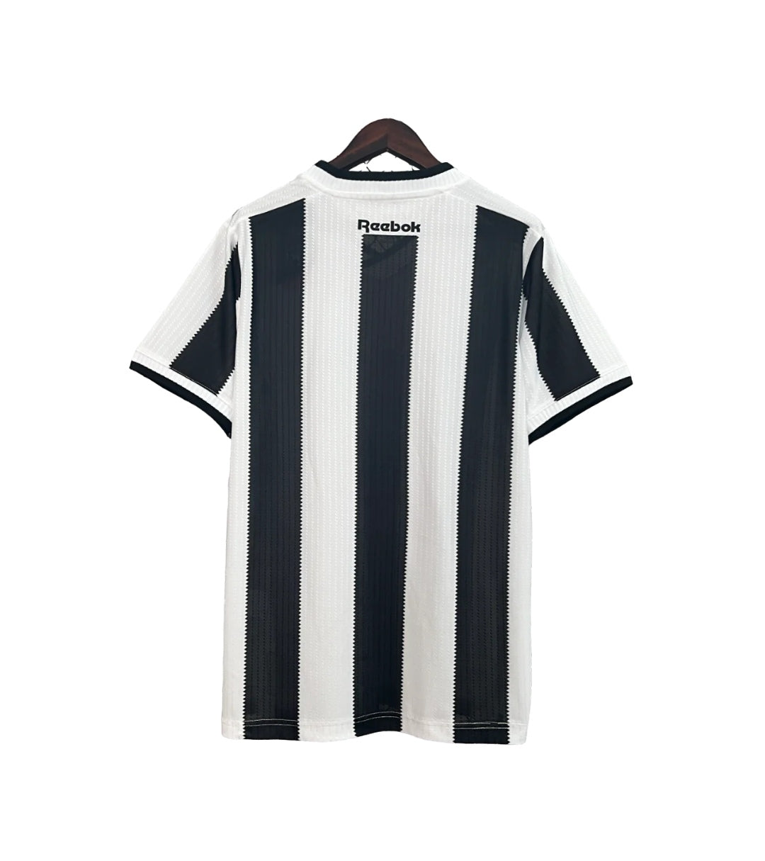Botafogo Inicio 24/25