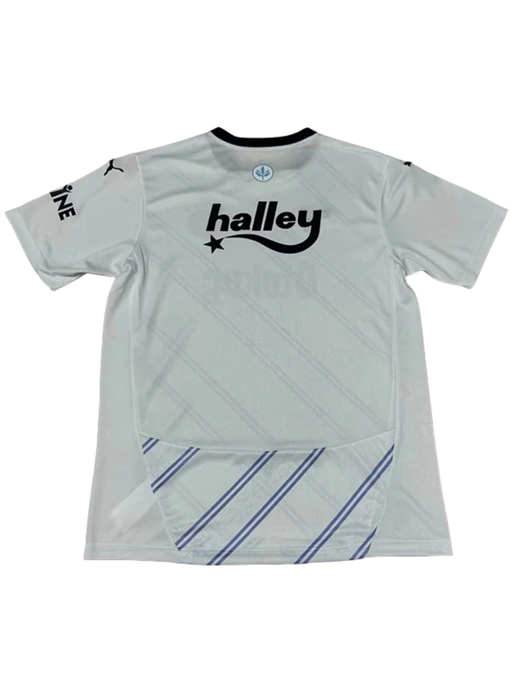 Fenerbahçe away 24/25