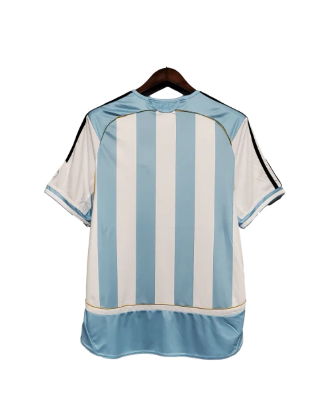 Argentina Hogar 2006