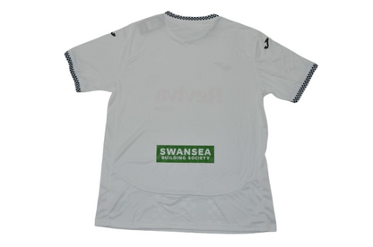 Swansea Home 25/26
