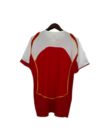 Arsenal home 04/05